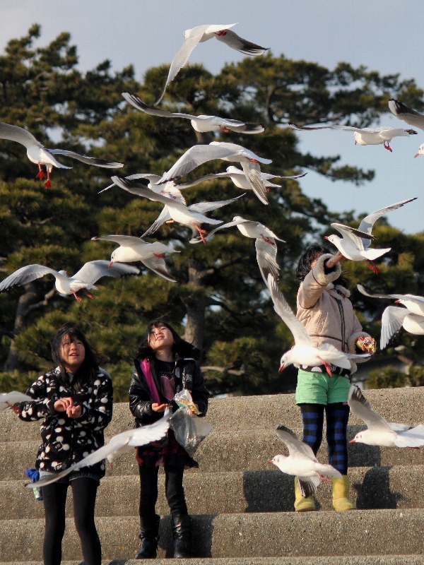 f:id:noraneko222:20150116195412j:image f:id:noraneko222:20150116195412j:image