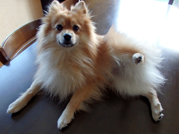 f:id:noraneko222:20150126204645j:image f:id:noraneko222:20150126204645j:image