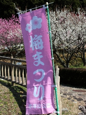 [赤塚山公園][梅まつり]