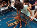 [竹島水族館][蒲郡]