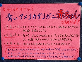 f:id:noraneko222:20150921211454j:image
