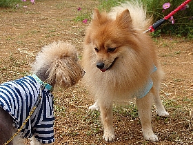 f:id:noraneko222:20151007215519j:image f:id:noraneko222:20151007215519j:image