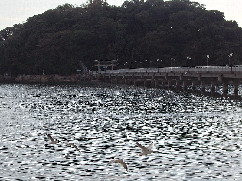 f:id:noraneko222:20151030190520j:image