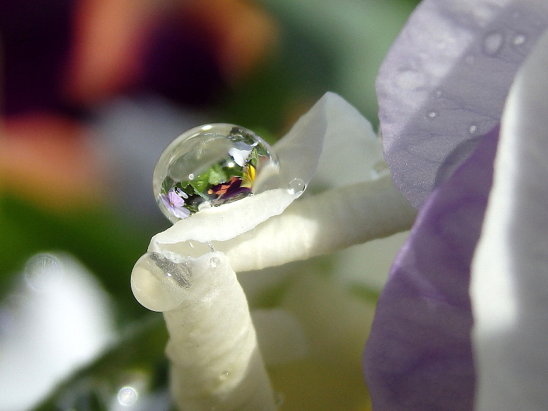 f:id:noraneko222:20151203183713j:image