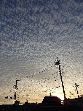 f:id:noraneko222:20151210000914j:image