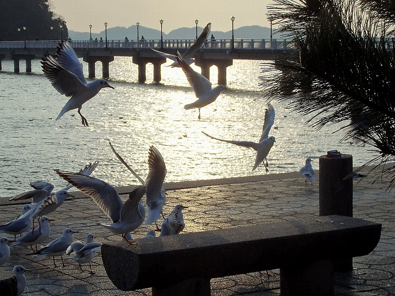 f:id:noraneko222:20160104212605j:image
