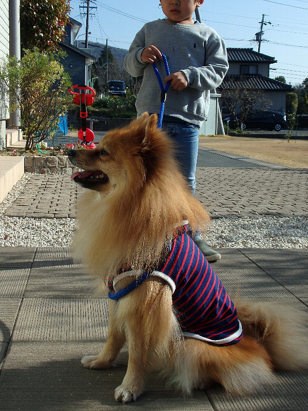 f:id:noraneko222:20160105182439j:image