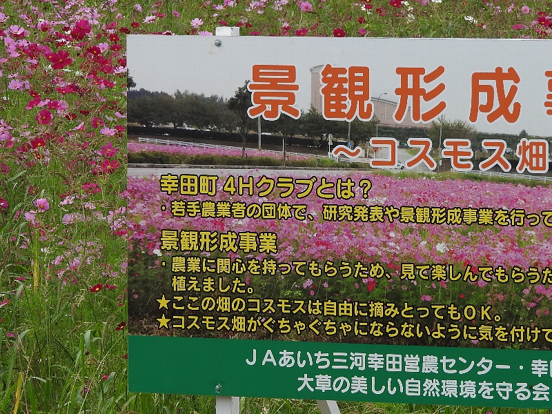 f:id:noraneko222:20161012191034j:image f:id:noraneko222:20161012191034j:image