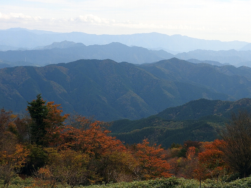 f:id:noraneko222:20161101200035j:image f:id:noraneko222:20161101200035j:image