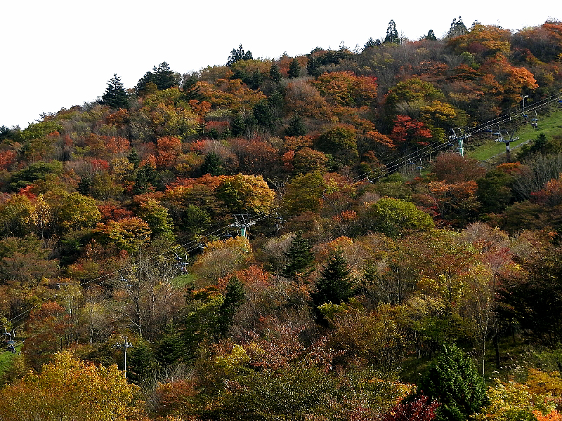 f:id:noraneko222:20161101200038j:image f:id:noraneko222:20161101200038j:image