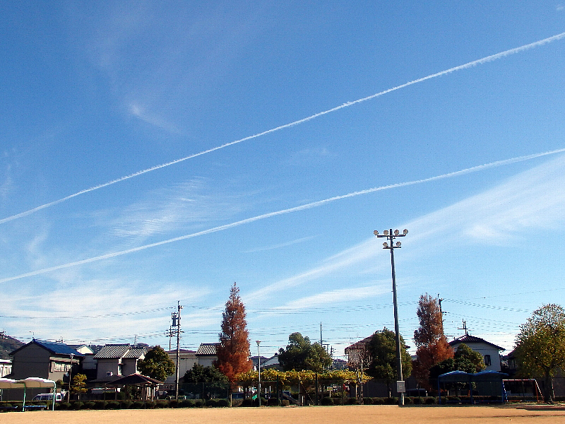 f:id:noraneko222:20161208203455j:image f:id:noraneko222:20161208203455j:image