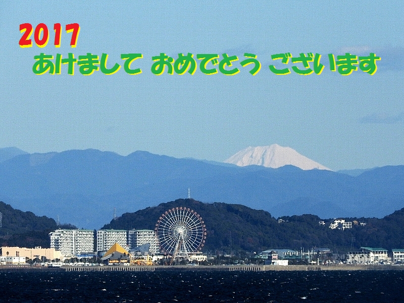 f:id:noraneko222:20161231200551j:image f:id:noraneko222:20161231200551j:image
