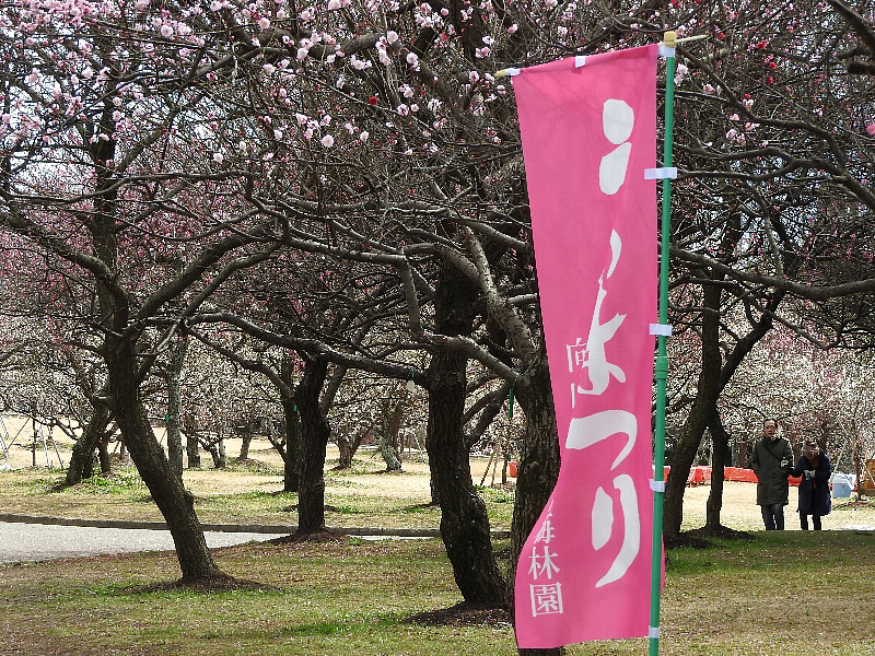 [向山緑地][梅林園]