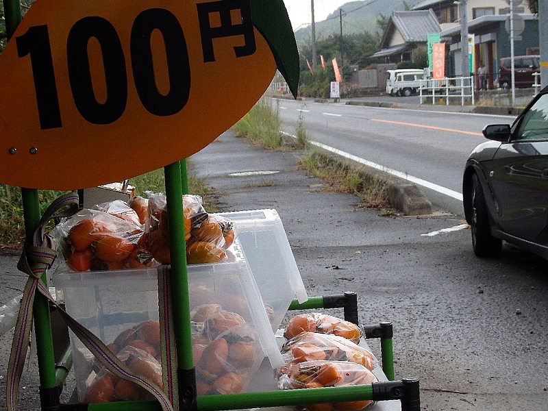 f:id:noraneko222:20171016191415j:image f:id:noraneko222:20171016191415j:image