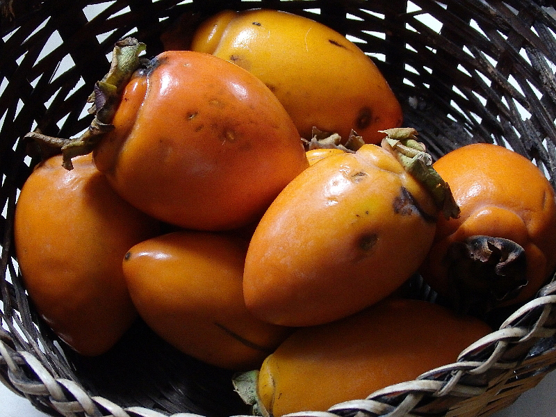 f:id:noraneko222:20171016191416j:image f:id:noraneko222:20171016191416j:image