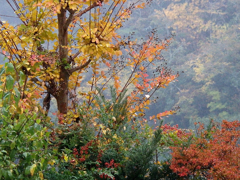f:id:noraneko222:20171108215519j:image f:id:noraneko222:20171108215519j:image