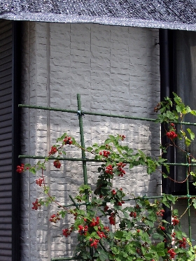 f:id:noraneko222:20180701221448j:image
