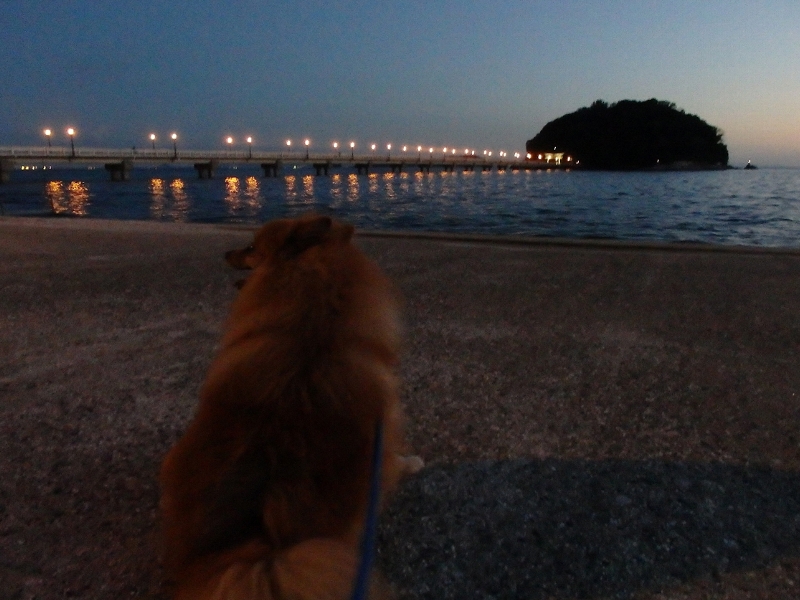 f:id:noraneko222:20180928224631j:image f:id:noraneko222:20180928224631j:image