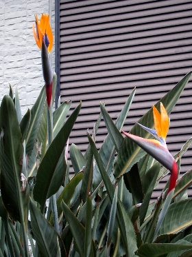 f:id:noraneko222:20181204194958j:image