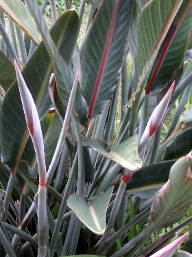 f:id:noraneko222:20181204194959j:image