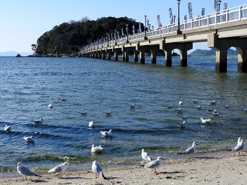 f:id:noraneko222:20190103220201j:image