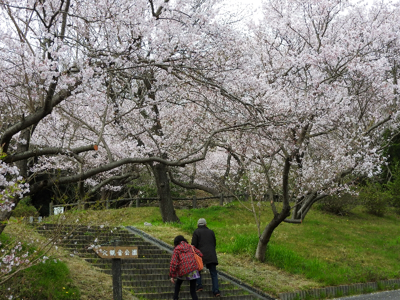 f:id:noraneko222:20190330222921j:plain f:id:noraneko222:20190330222921j:plain