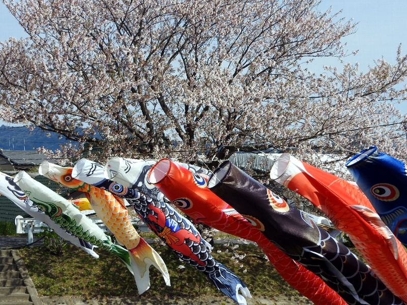 f:id:noraneko222:20190411224823j:plain
