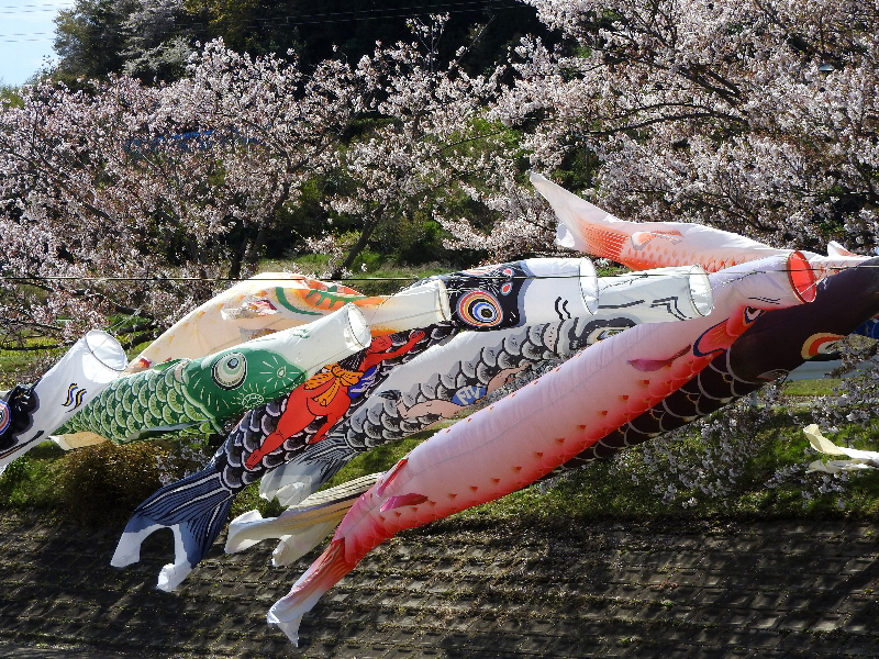 f:id:noraneko222:20190411224946j:plain