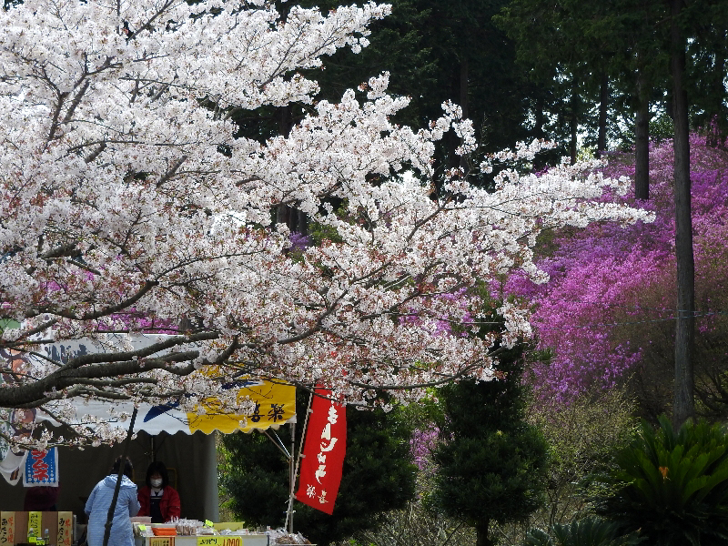 f:id:noraneko222:20190413230733j:plain f:id:noraneko222:20190413230733j:plain