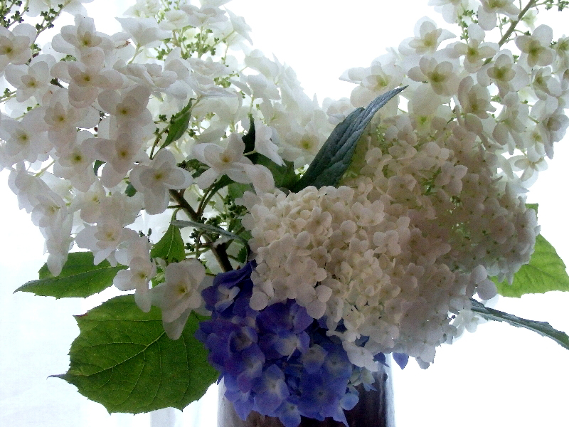 f:id:noraneko222:20190610205430j:plain