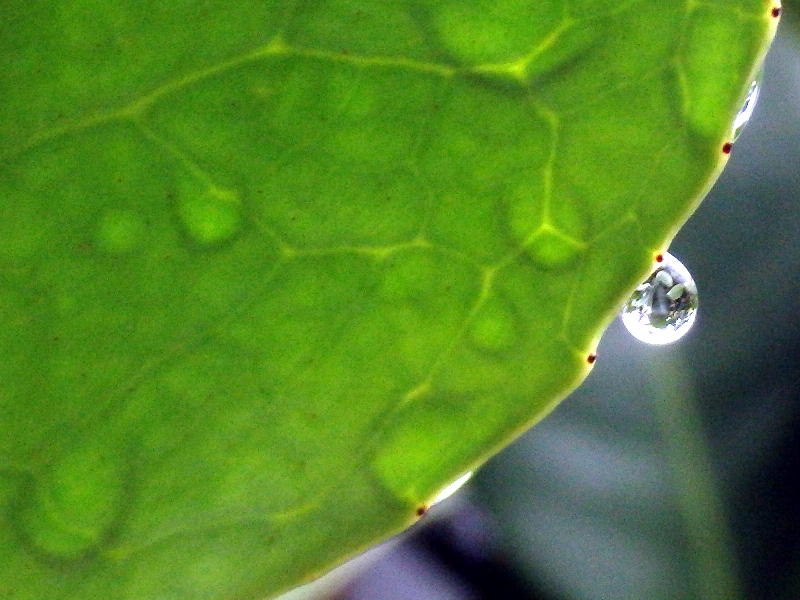 f:id:noraneko222:20190720210934j:plain f:id:noraneko222:20190720210934j:plain