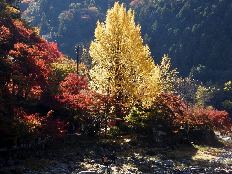 f:id:noraneko222:20191122200123j:plain f:id:noraneko222:20191122200123j:plain