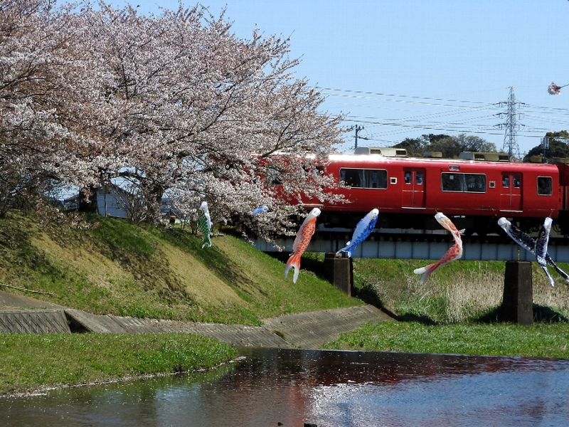 f:id:noraneko222:20200412192810j:plain f:id:noraneko222:20200412192810j:plain