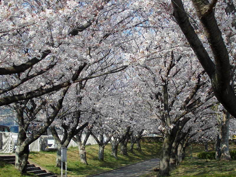 f:id:noraneko222:20200414211933j:plain f:id:noraneko222:20200414211933j:plain