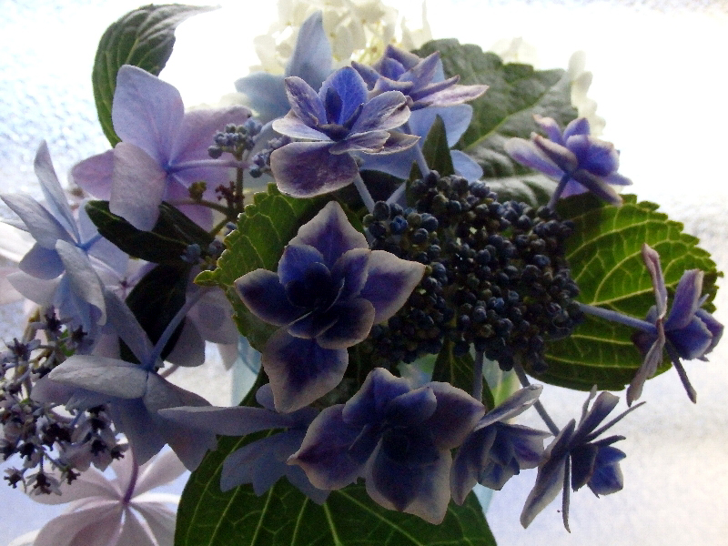 f:id:noraneko222:20200619195428j:plain