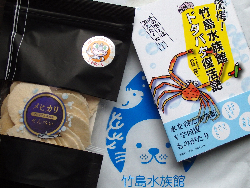 f:id:noraneko222:20200715210258j:plain