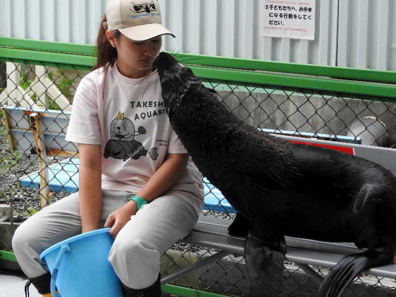 f:id:noraneko222:20200715210354j:plain