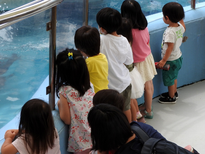 f:id:noraneko222:20200715210526j:plain