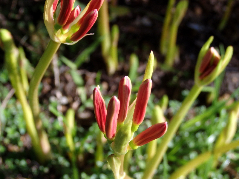 f:id:noraneko222:20200927192130j:plain f:id:noraneko222:20200927192130j:plain