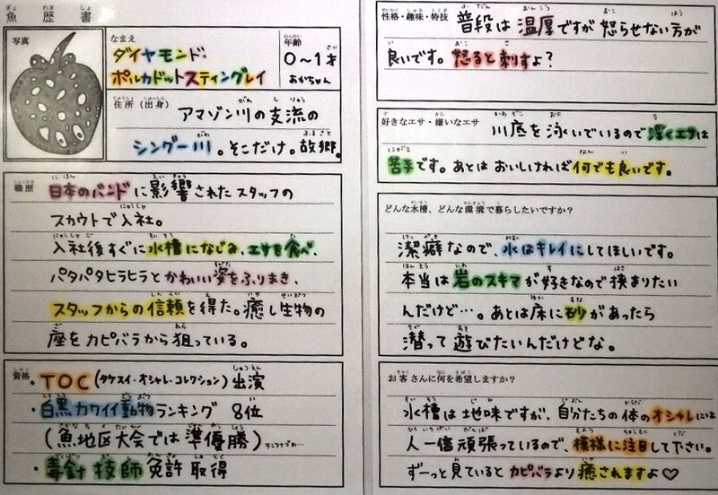 f:id:noraneko222:20201112221143j:plain