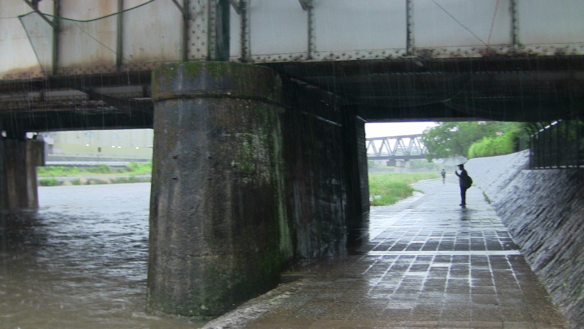 f:id:noranekonote:20200617142210j:plain f:id:noranekonote:20200617142210j:plain