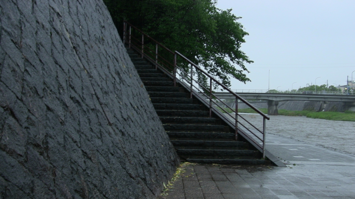 f:id:noranekonote:20200617142244j:plain f:id:noranekonote:20200617142244j:plain