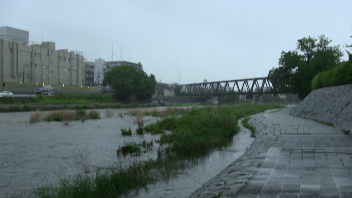 f:id:noranekonote:20200617142402j:plain f:id:noranekonote:20200617142402j:plain