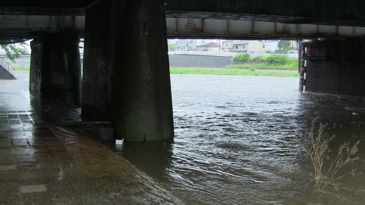 f:id:noranekonote:20200617142425j:plain f:id:noranekonote:20200617142425j:plain