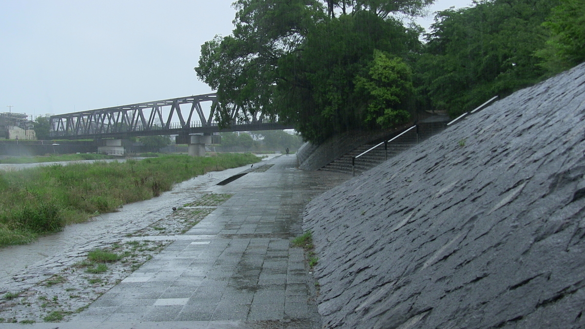 f:id:noranekonote:20200617142448j:plain f:id:noranekonote:20200617142448j:plain