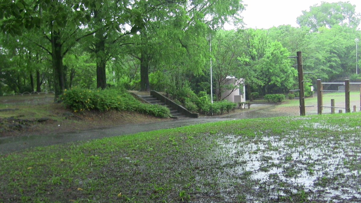 f:id:noranekonote:20200617142507j:plain f:id:noranekonote:20200617142507j:plain