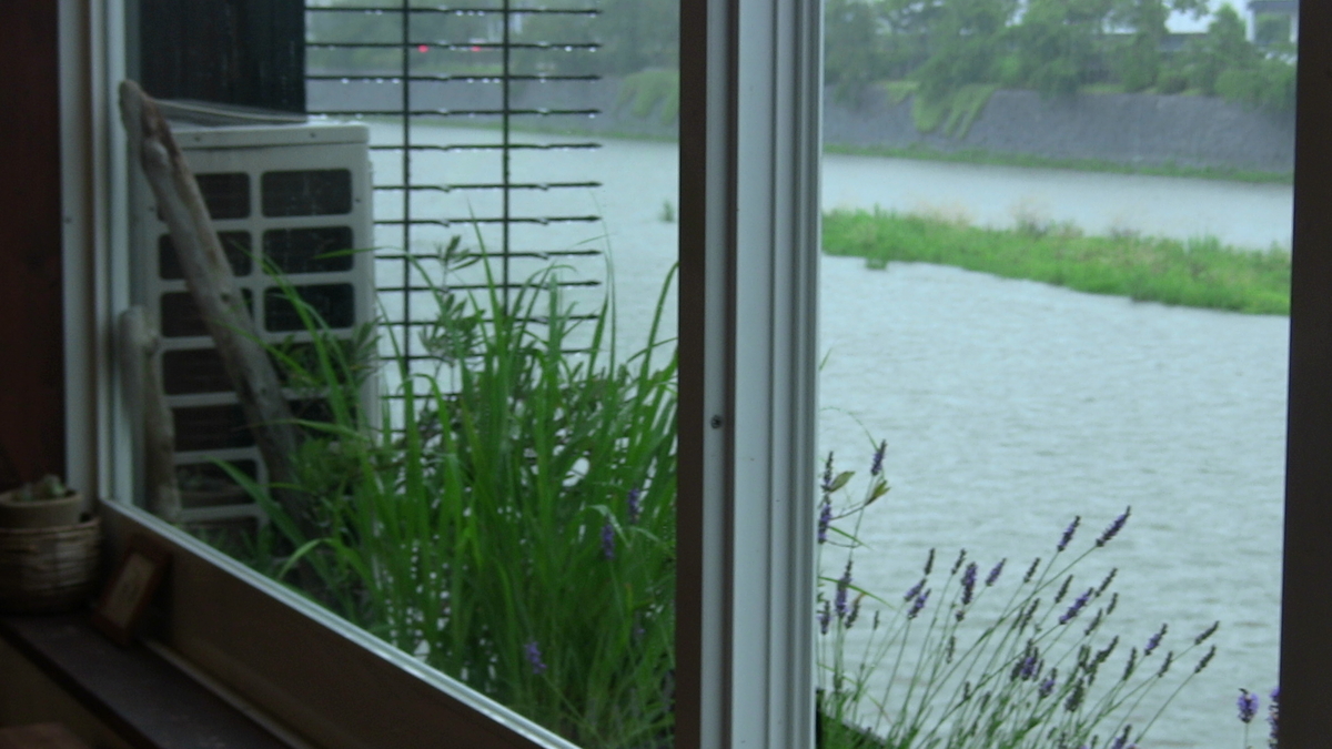 f:id:noranekonote:20200617143227j:plain f:id:noranekonote:20200617143227j:plain