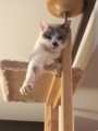 20180418105237