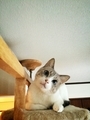 20180930124457
