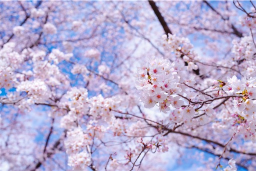 f:id:norari9rari:20200914013230j:image